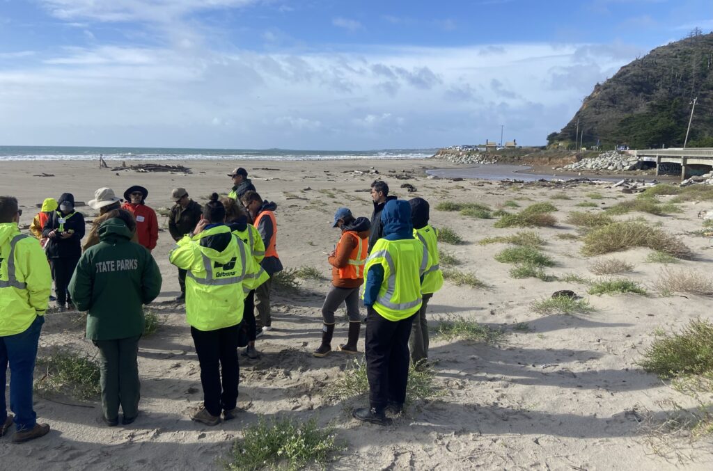 Project team members at Waddell Beach