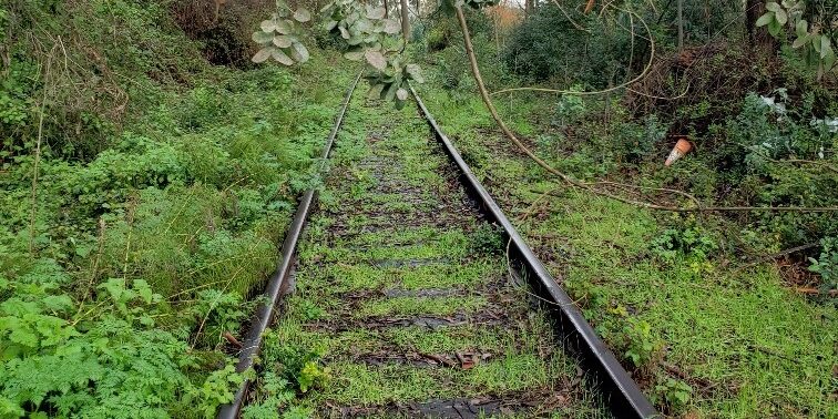 Resized rail photo